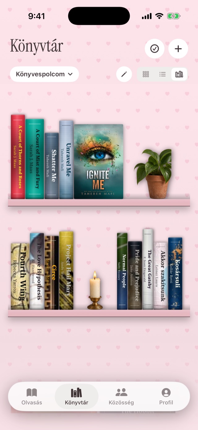 A Booki könyvespolca / Booki's bookshelf